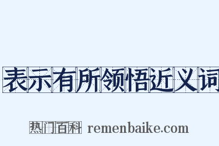 表示有所领悟近义词是什么意思的图片